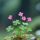 후반