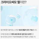 대박짐 복싱 | 김종국 냉찜질팩 [셀버린 크라이오써모젤 슬리브] 후기; 러닝필수템, 복싱추천