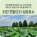 연꽃단지 화장실 이미지