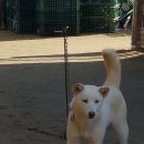 예쁜공주 이미지