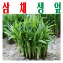 엄지농장 이미지