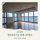 청라푸르지오아파트경로당 | 인천 청라푸르지오 45평 사이청소 전문업체 후기