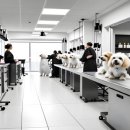 안아줄개 이미지