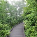 우리나라에서 제일 큰 천문대가 있는 보현산 트레킹(trekking)후기 이미지