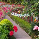 풍덕동 행정복지센터 이미지