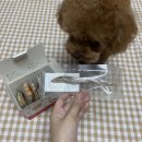 주식회사 씨제이피 이미지