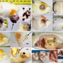 비단잉어의 눈과 정소의 T세포 림프종(lymphoma) 이미지