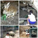 숯골마을 이미지