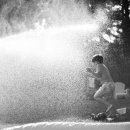 아로마스프레이 만들기 이미지