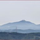 지용산인 네이버블로그