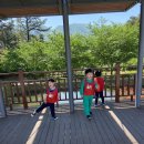 어린이날-명동근린공원 견학 이미지
