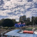 블루마운틴 | 호주 시드니 여행 포트스테판 블루마운틴 투어 찐 후기