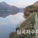 심곡심실 이미지