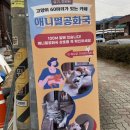 청주 고양이카페&lt;애니멀 공화국&gt; | 이색체험카페 후기