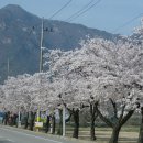 시골민박 이미지