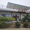 천사바다블라썸 이미지