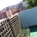 수정동농장 이미지