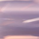 벨로시티 이미지