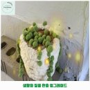 부평구 애견카페 리프레쉬룸 가격 및 후기 추천 리뷰 주차 예약 알아봐요