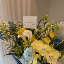 움찬의원 이미지