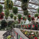 가평 모이스 독채 풀빌라 펜션 | 프라이빗 독채 온수풀 수영장 있는 가평 아란풀빌라 펜션 숙박 후기