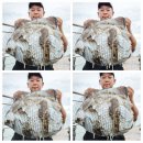 전하낚시 이미지