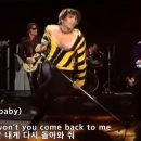 The J Geils Band~~Come Back 이미지
