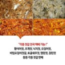 건희네토굴새우젓 이미지
