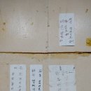 고향포차