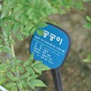 신트리공원 이미지