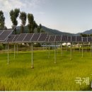 상원태양광발전소 이미지