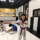 신평태권도체육관 이미지