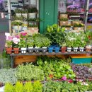 부평우일 이미지