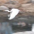 歲月 베고 길게누운 구름 한조각-김다현 이미지