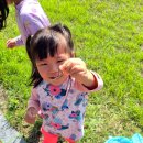 자연휴양림 얕은 물놀이장 이미지