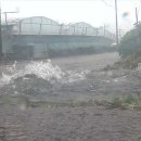 강정동-53 이미지