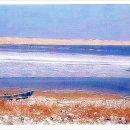 탄도민박 이미지