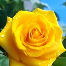 아침을 여는 음악 2월 7일(수요일) 이미지