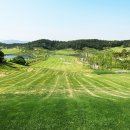 월현로3 이미지