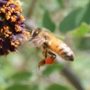 꿀부동산중개공인중개사사무소 이미지