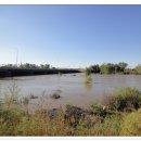 (주)초원렌트카 이미지