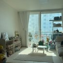 미소세탁 | 청소연구소 vs 미소 차이 비교 할인쿠폰 3년간 이용해본 집안일 가사도우미 집청소 꿀팁 후기