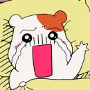 경동양과점 네이버블로그