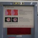 서울특별시교육청교육연구정보원 이미지