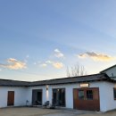 강원도 강릉 펜션ㅣ‘송림315’ 애견동반독채펜션 후기