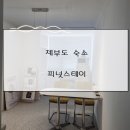 피넛스테이 이미지