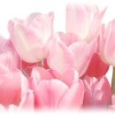 바라보다 이미지