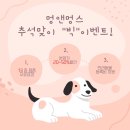 멍앤멍스 이미지
