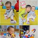 다육이패밀리농장 네이버블로그