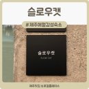 슬로우캣 | 제주 애월 감성숙소 추천-복층 독채 숙소 슬로우캣 아이와 힐링여행